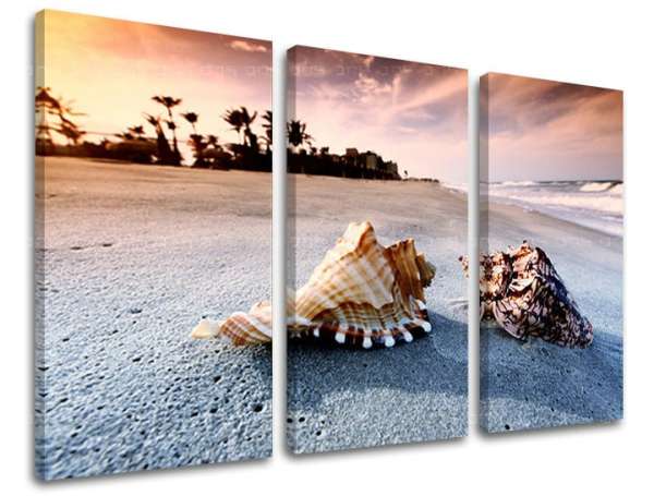 3-részes falfesték BEACH PL024E30