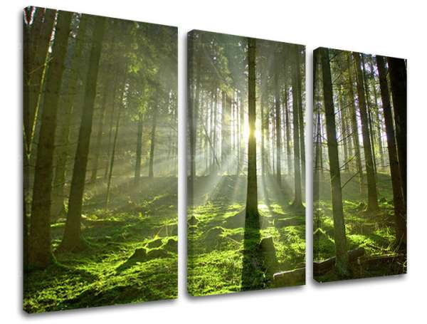 3-részes falfesték TREES ST021E30