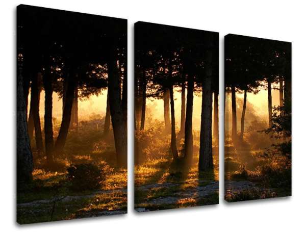 3-részes falfestés TREES ST025E30