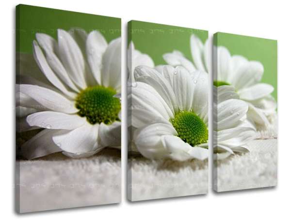 3 részes falfestmény FLOWERS XOBKV111E30