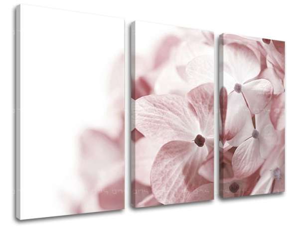 3 részes falfestmény FLOWERS XOBKV114E30