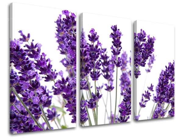 3 részes falfestmény FLOWERS XOBKV128E30