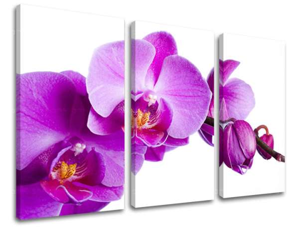 3 részes falfestmény FLOWERS XOBKV135E30