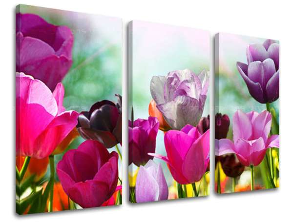 3 részes falfestmény FLOWERS XOBKV148E30