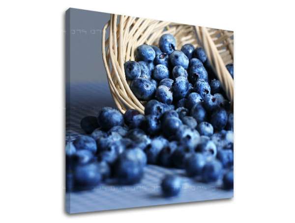 Falfestés Konyha KU005E12