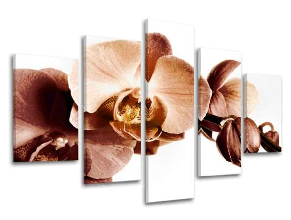 5 részes falfestmény FLOWERS XOBKV110E50