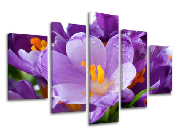 5 részes falfestmény FLOWERS XOBKV137E50