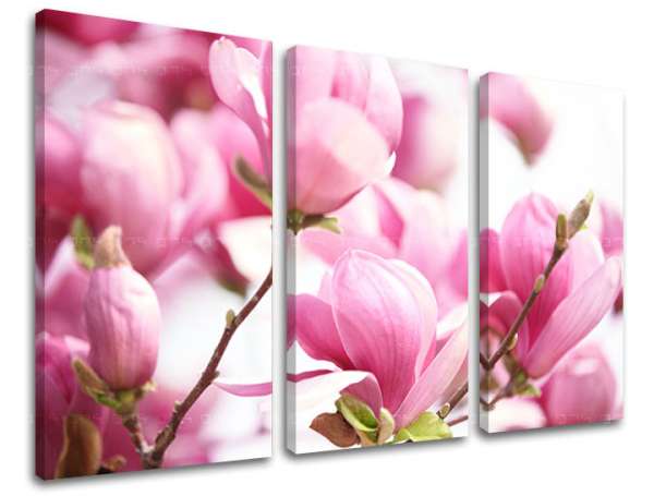 3 részes falfestmény FLOWERS KV002E30