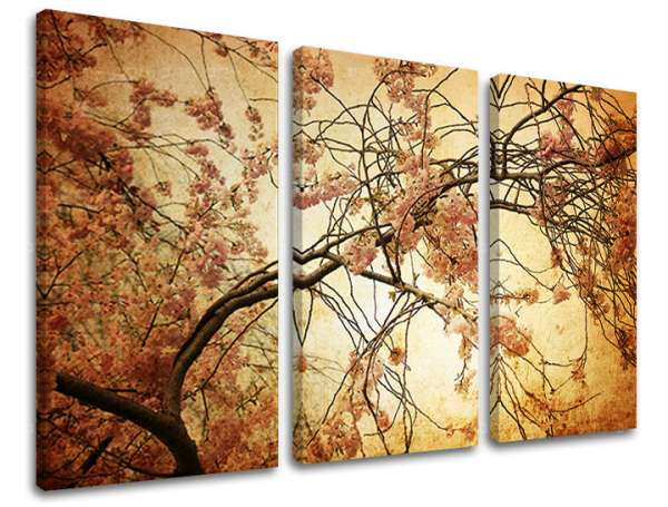 3 részes falfestmény FLOWERS KV009E30