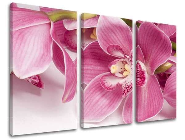 3 részes falfestmény FLOWERS KV034E30