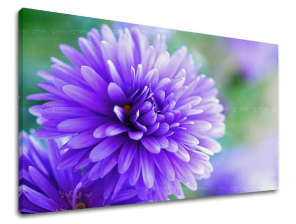 Falfestmény FLOWERS KV090E11