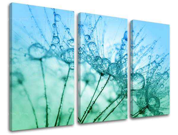 3 részes falfestmény FLOWERS KV061E30