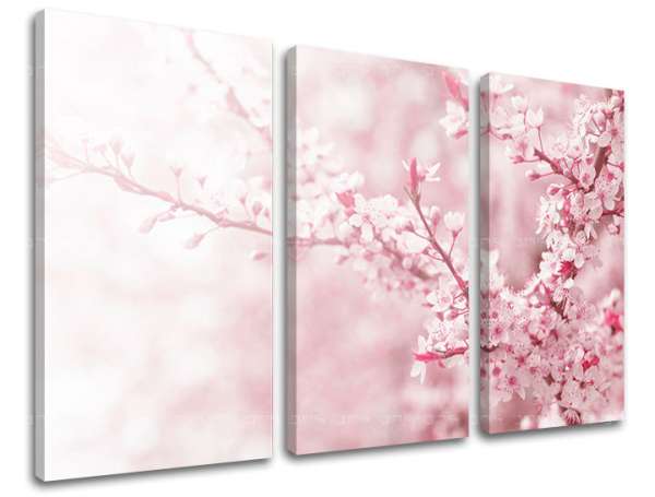 3 részes falfestmény FLOWERS KV063E30