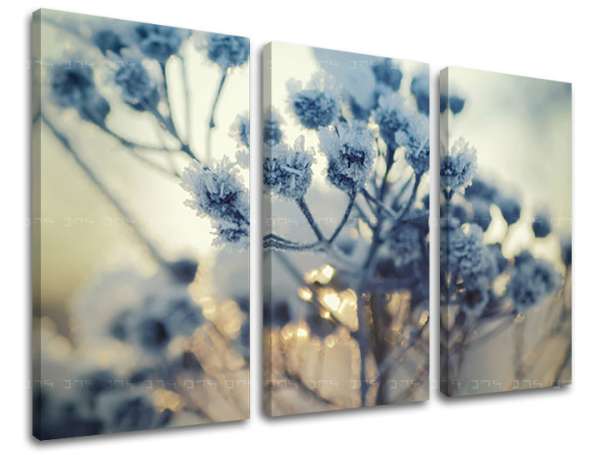 3 részes falfestmény FLOWERS KV069E30