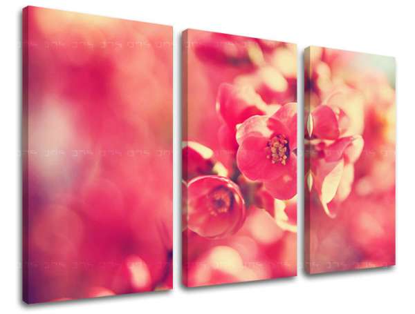 3 részes falfestmény FLOWERS KV072E30