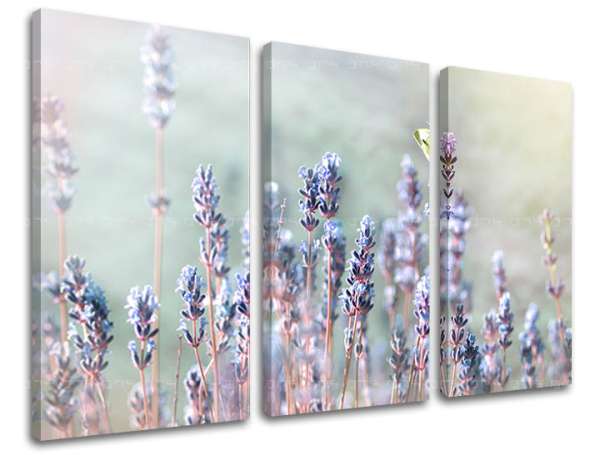 3 részes falfestmény FLOWERS KV077E30