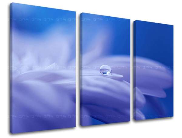 3 részes falfestmény FLOWERS KV087E30