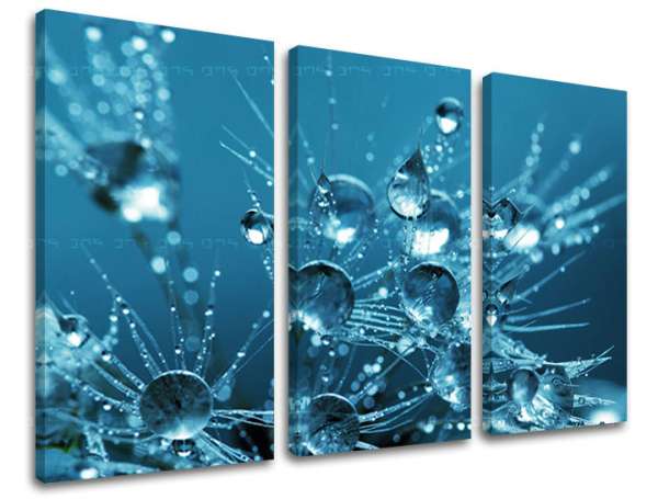 3 részes falfestmény FLOWERS KV101E30