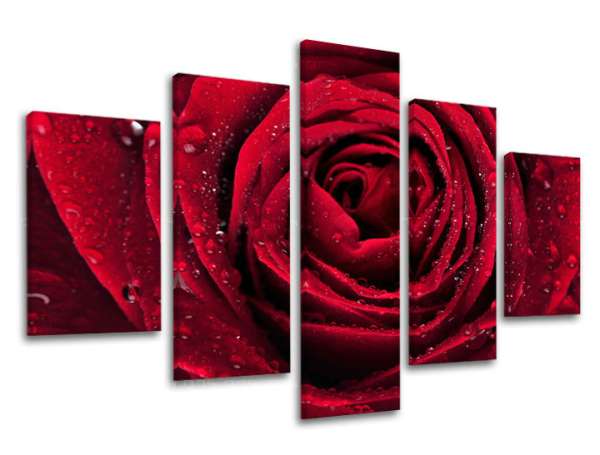 5 részes falfestmény FLOWERS KV012E50