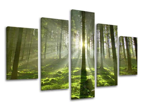 5 részes falfesték TREES ST021E50