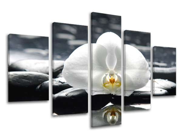 5-részes falfestmény FENG SHUI FS018E50