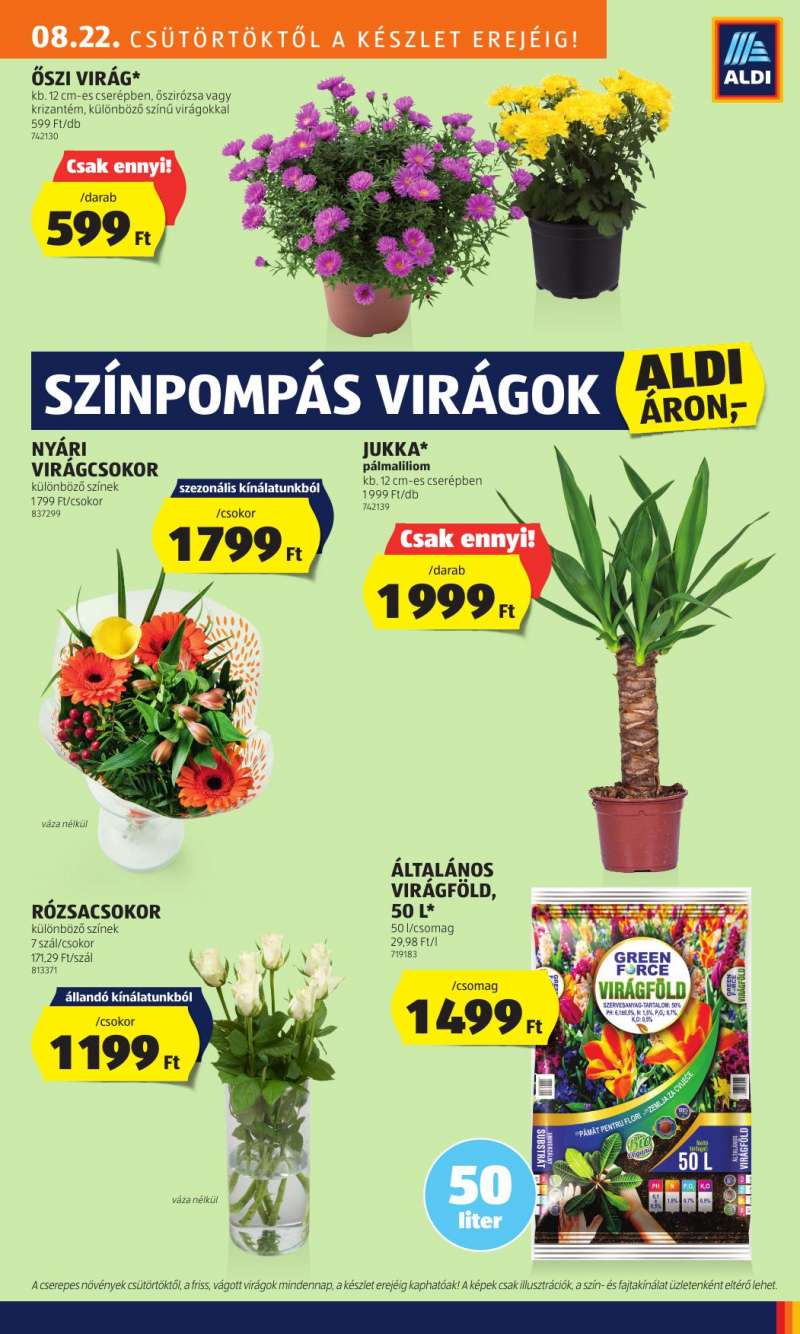 Aldi Akciós Újság 25 oldal