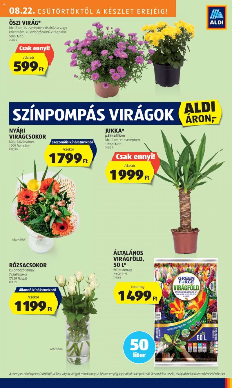 Aldi Akciós újság Aldi 25 oldal