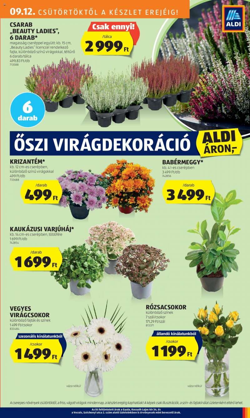 Aldi Akciós újság Aldi 27 oldal