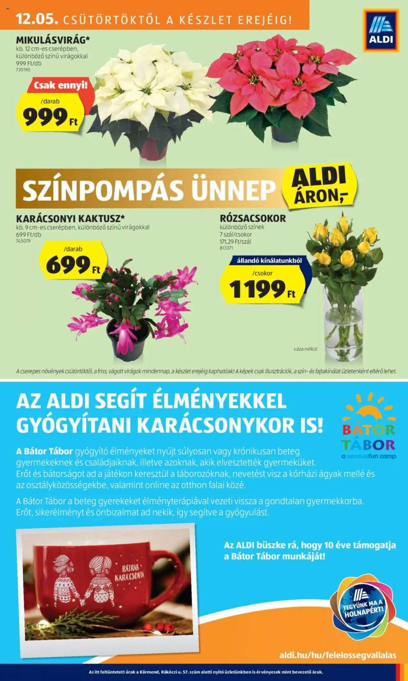 Aldi Akciós újság Aldi 41 oldal