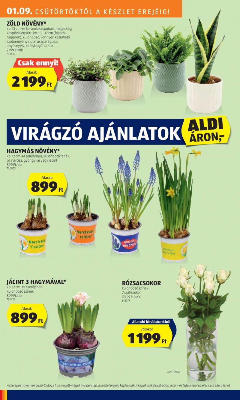 Aldi Akciós Újság 30 oldal