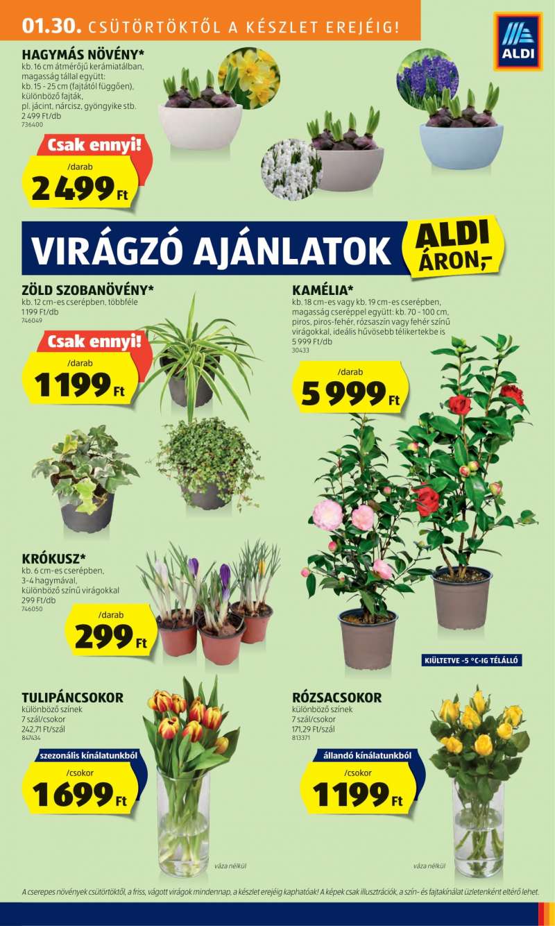 Aldi Akciós Újság 27 oldal