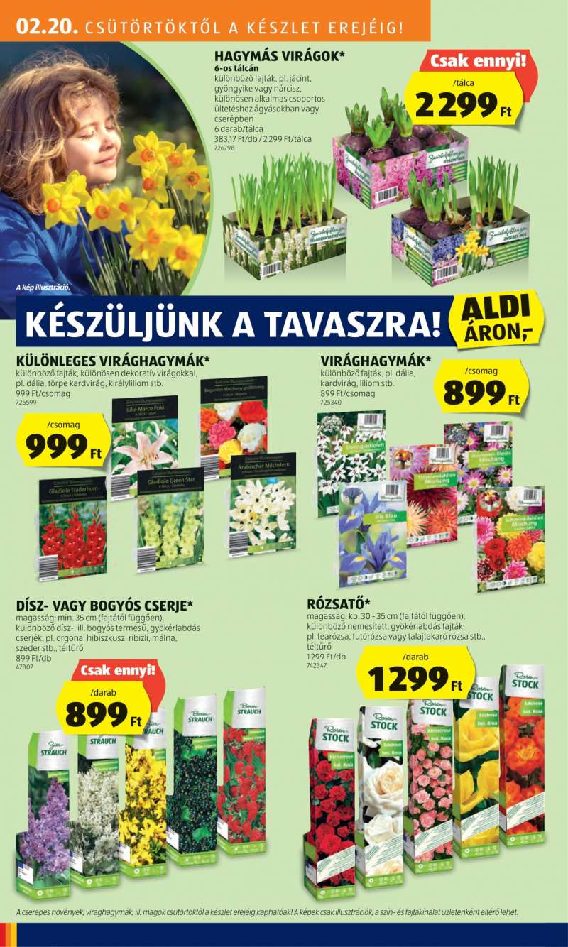 Aldi Akciós Újság 34 oldal