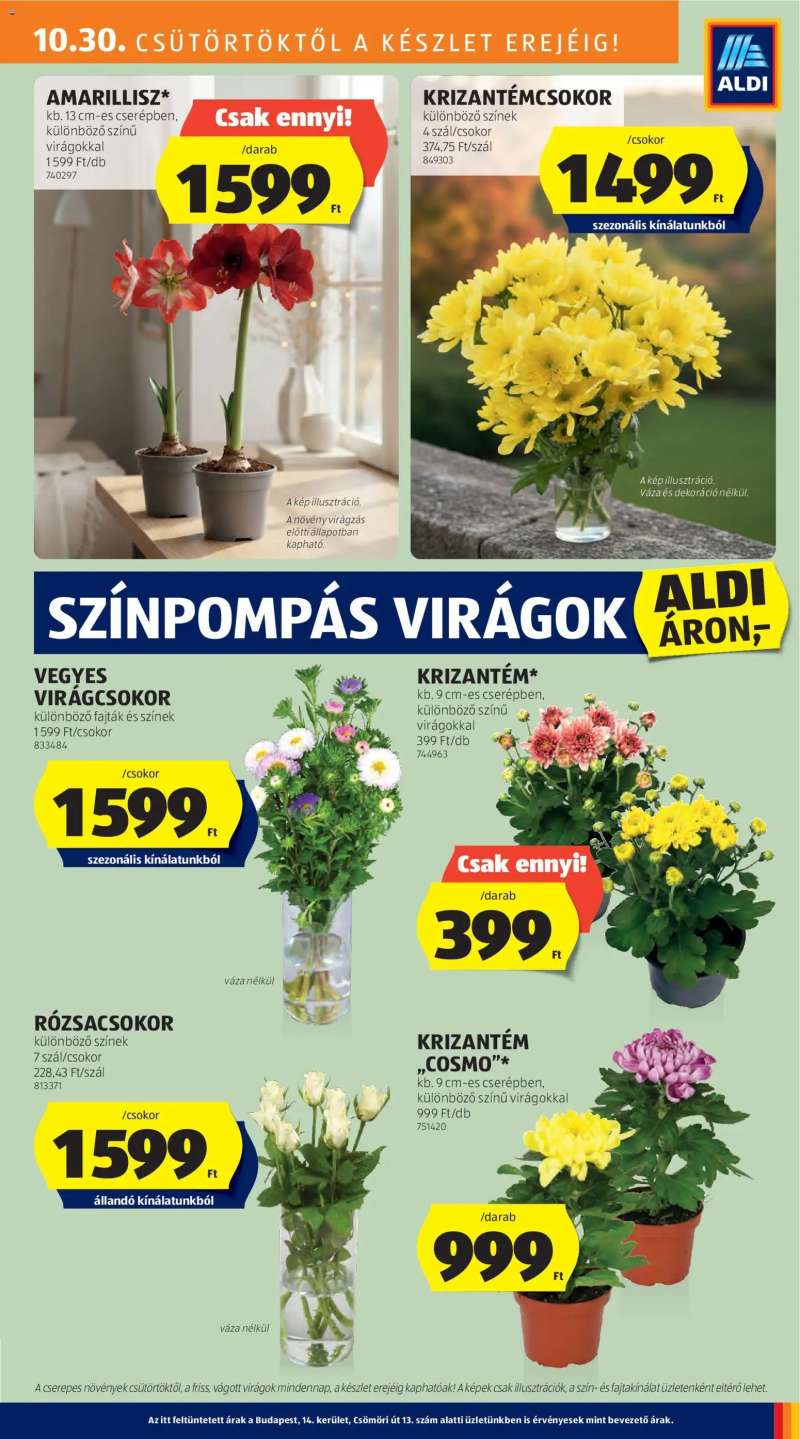 Aldi Akciós újság Aldi 31 oldal