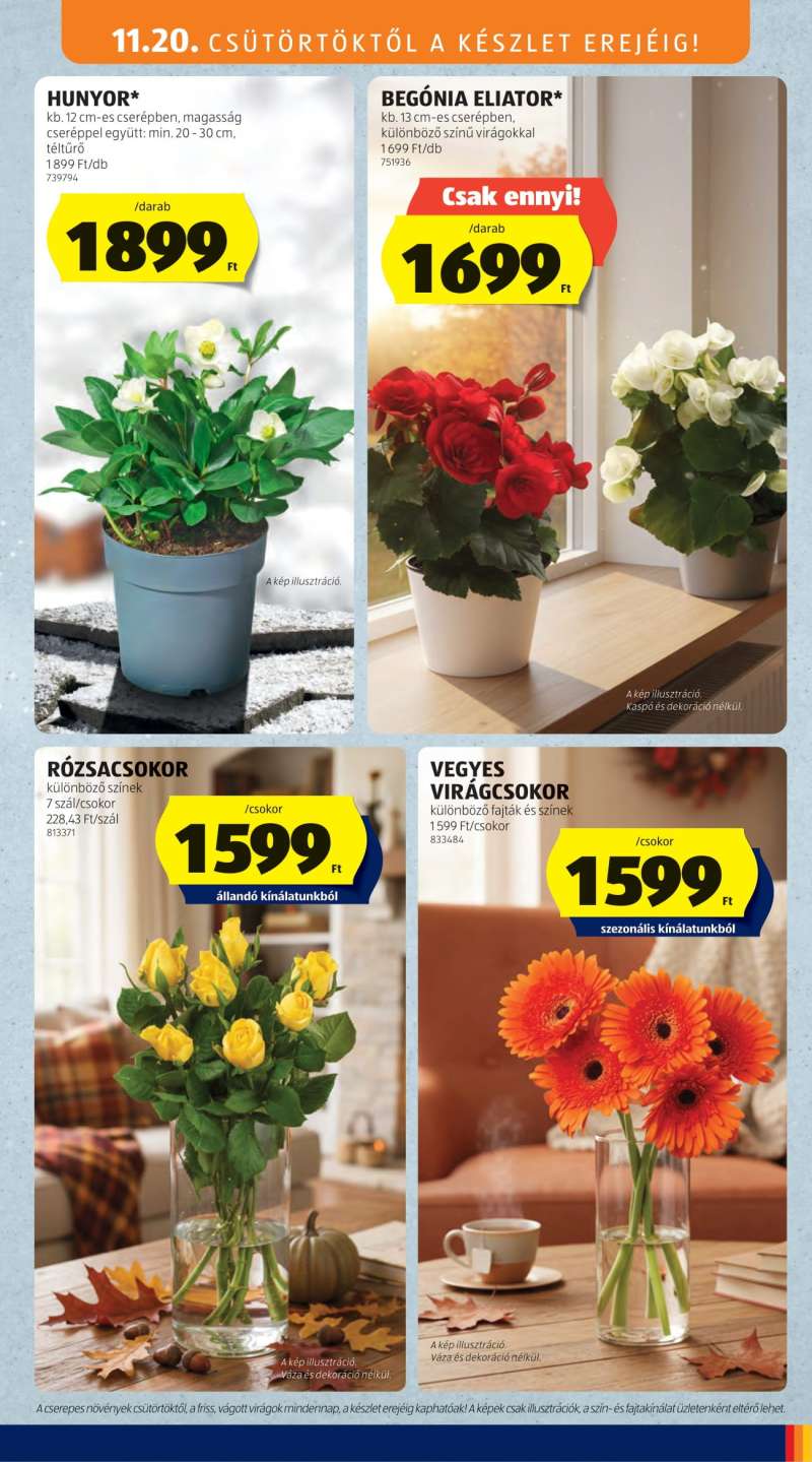 Aldi Akciós Újság 31 oldal