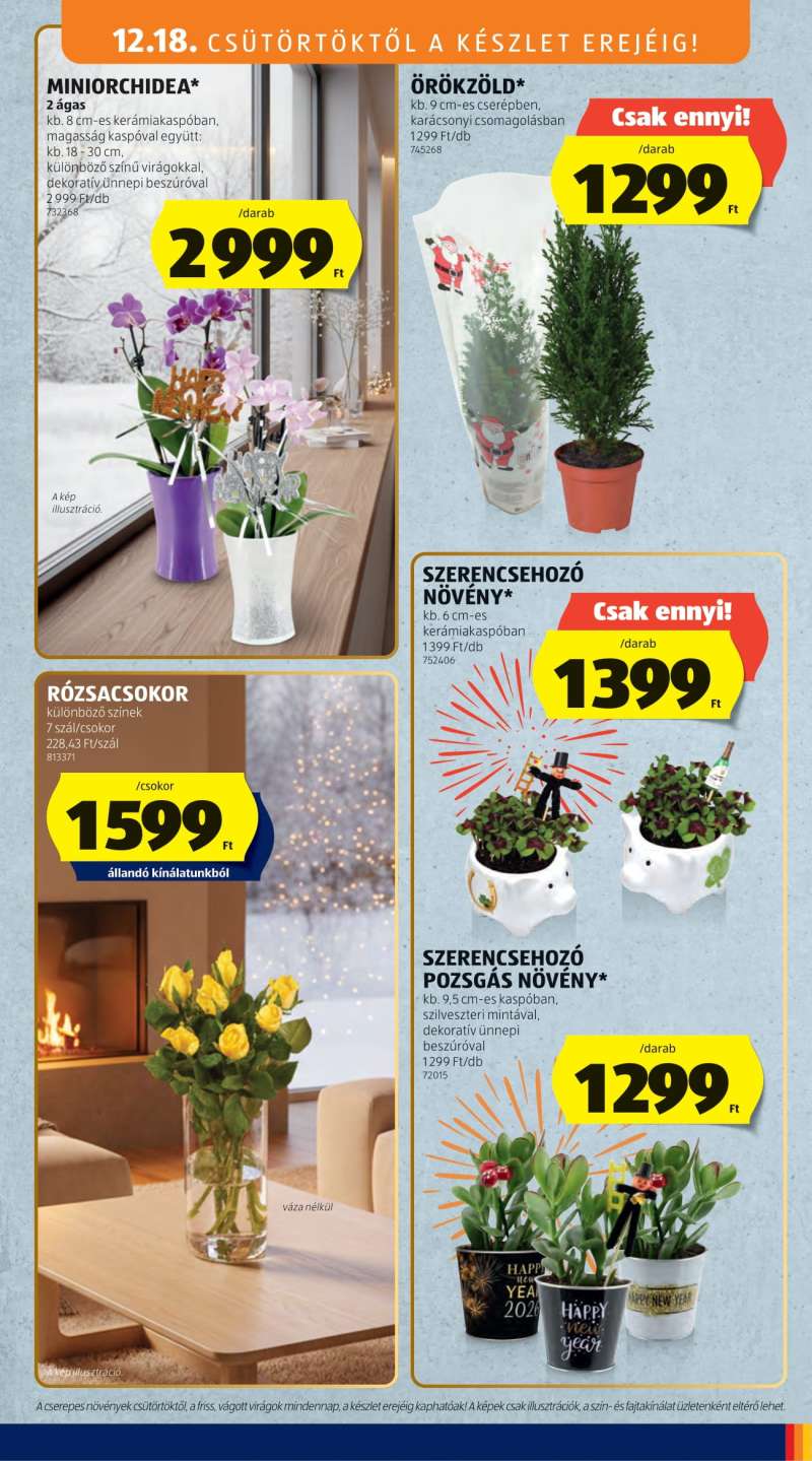 Aldi Akciós Újság 35 oldal