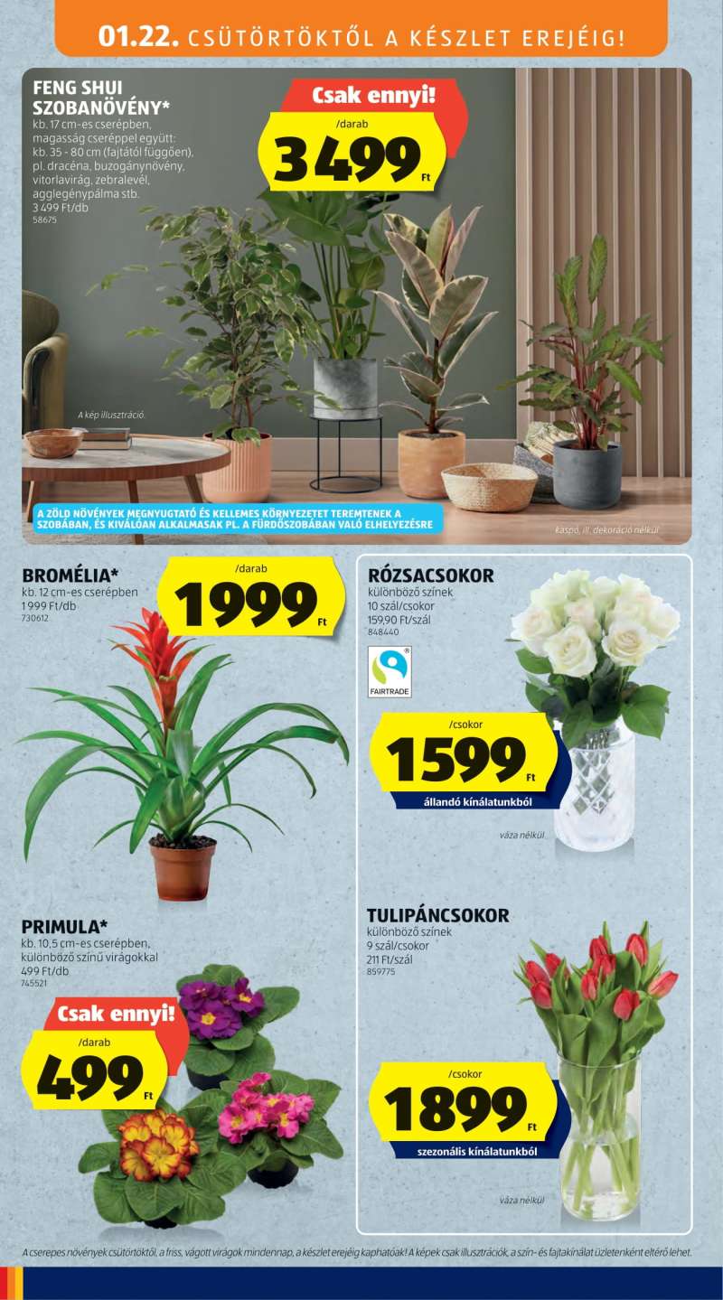 Aldi Akciós Újság 26 oldal