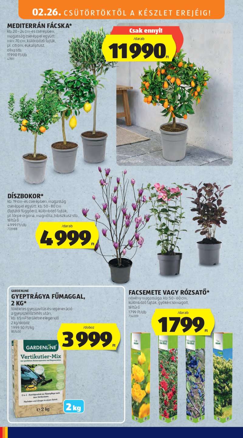 Aldi Középső sor 6 oldal