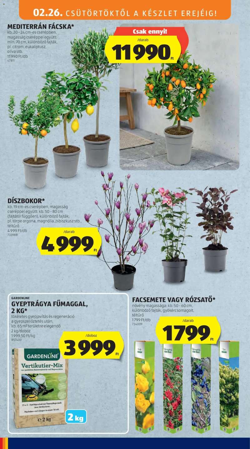 Aldi Középső sor termékei 6 oldal