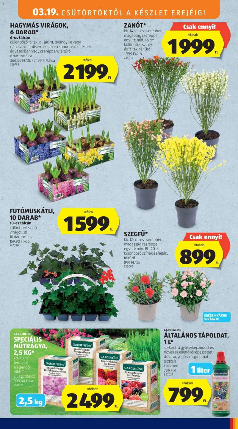 Aldi Aldi akciós újság 51 oldal