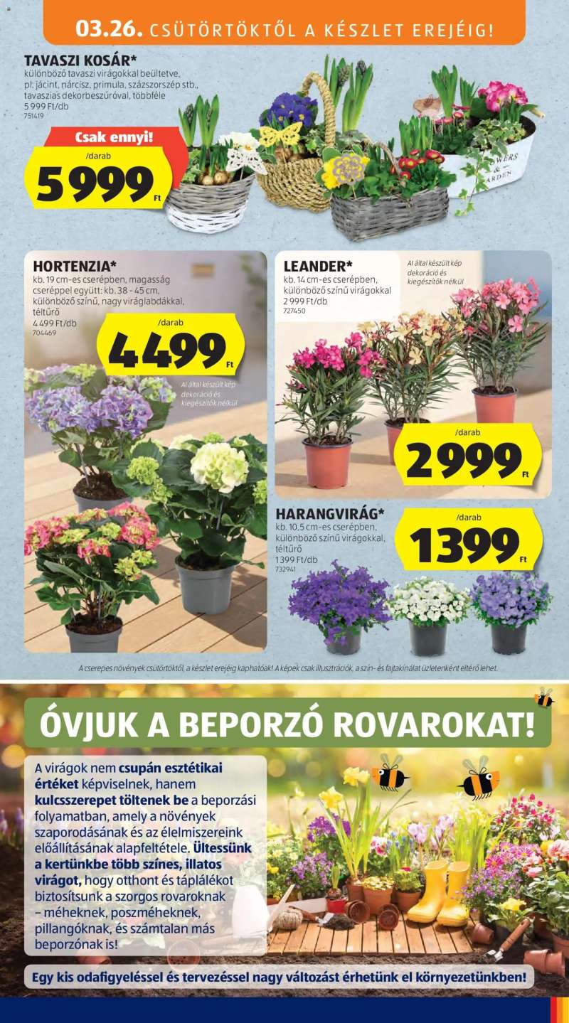 Aldi Aldi akciós újság 51 oldal