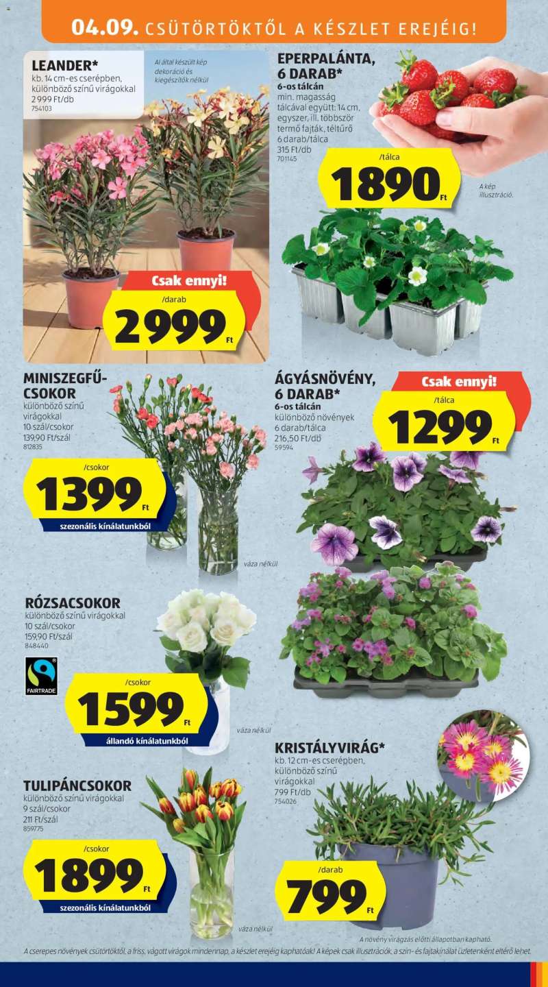 Aldi Aldi akciós újság 31 oldal