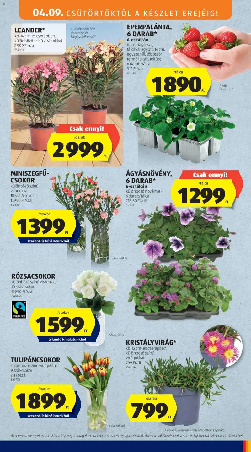 Aldi Aldi Középső sor termékei 5 oldal