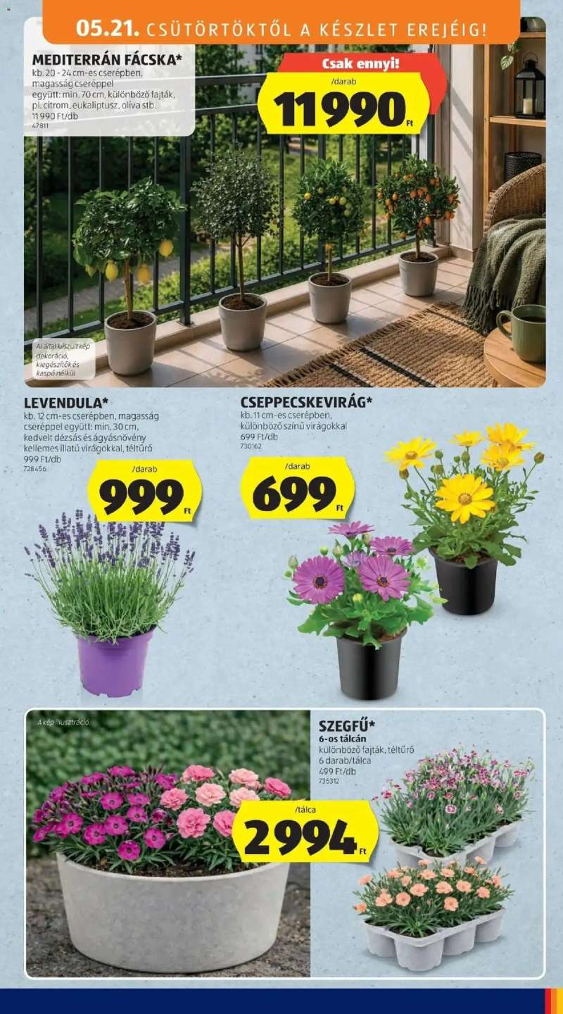 Aldi Aldi aktuális akciós újság 31 oldal