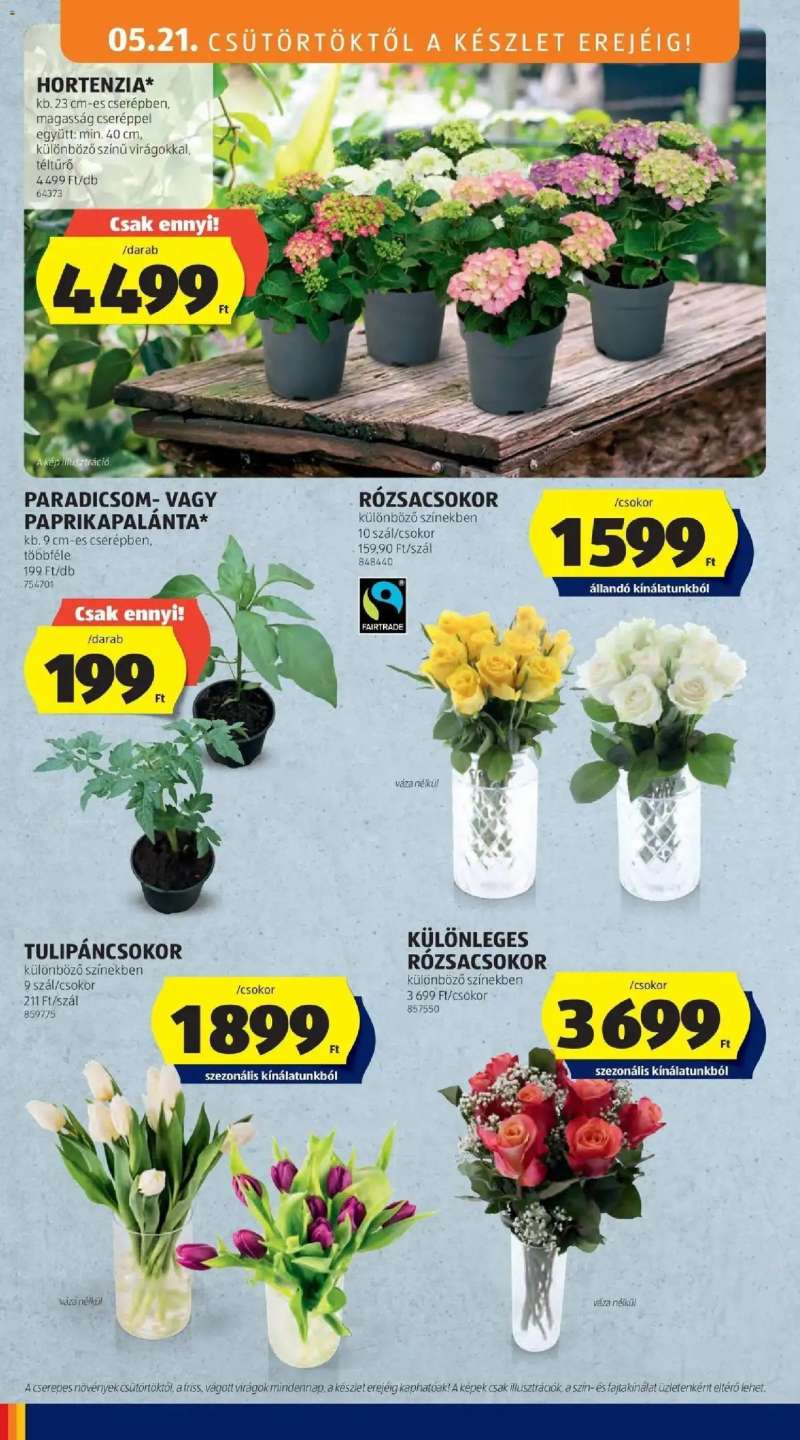 Aldi Aldi aktuális akciós újság 32 oldal