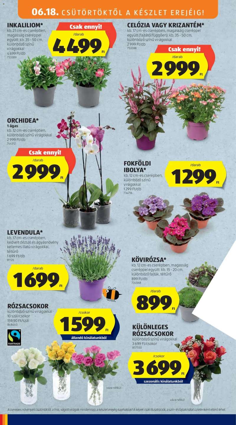 Aldi Aldi akciós újság 34 oldal