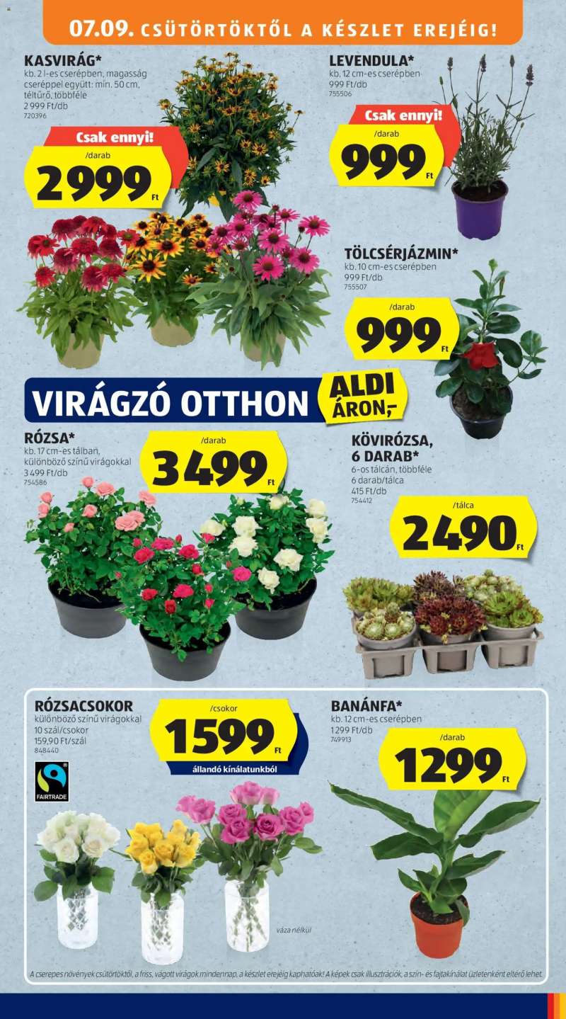 Aldi Aldi Középső sor termékei 5 oldal