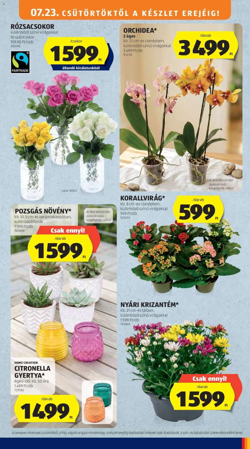 Aldi Aldi akciós újság 45 oldal