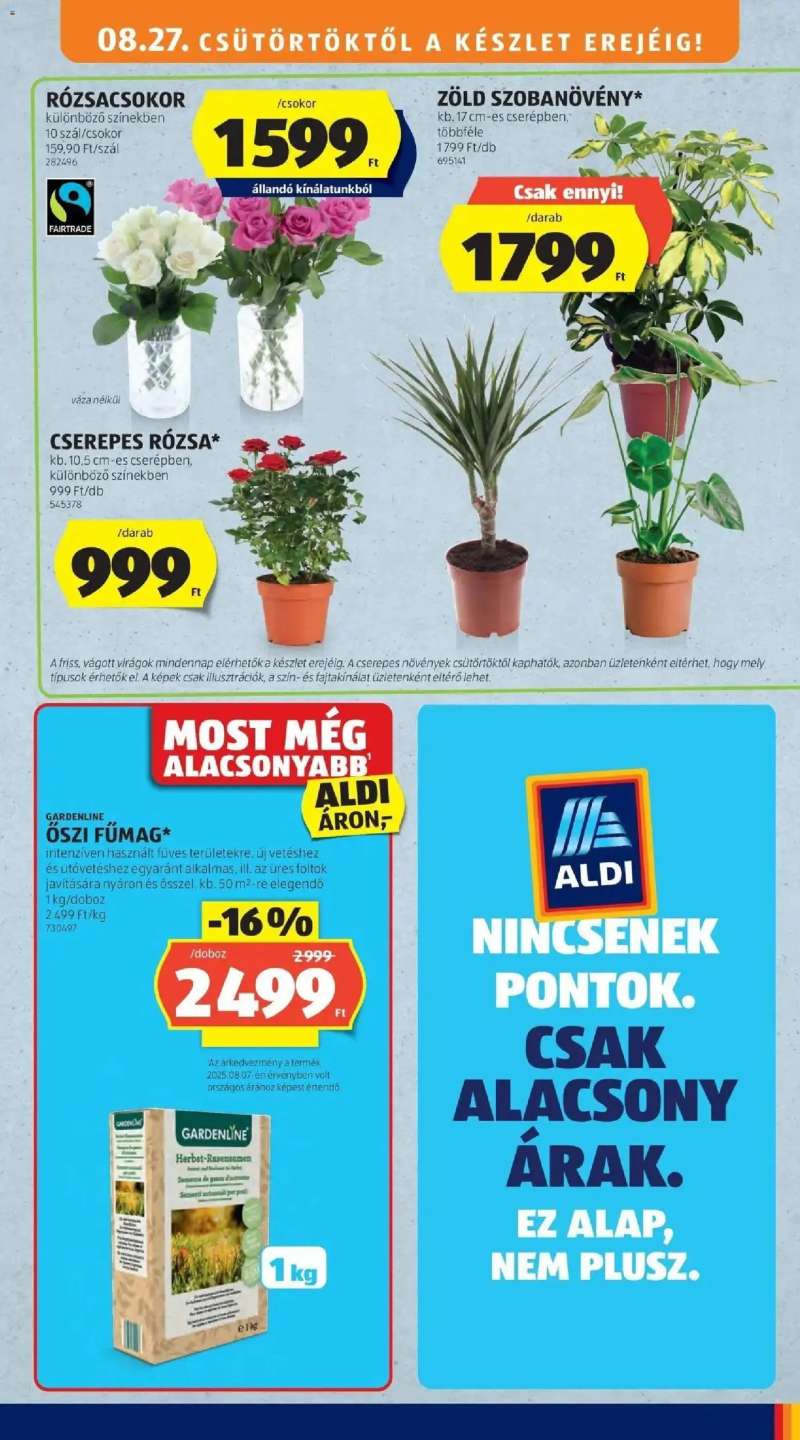 Aldi Aldi aktuális akciós újság 31 oldal