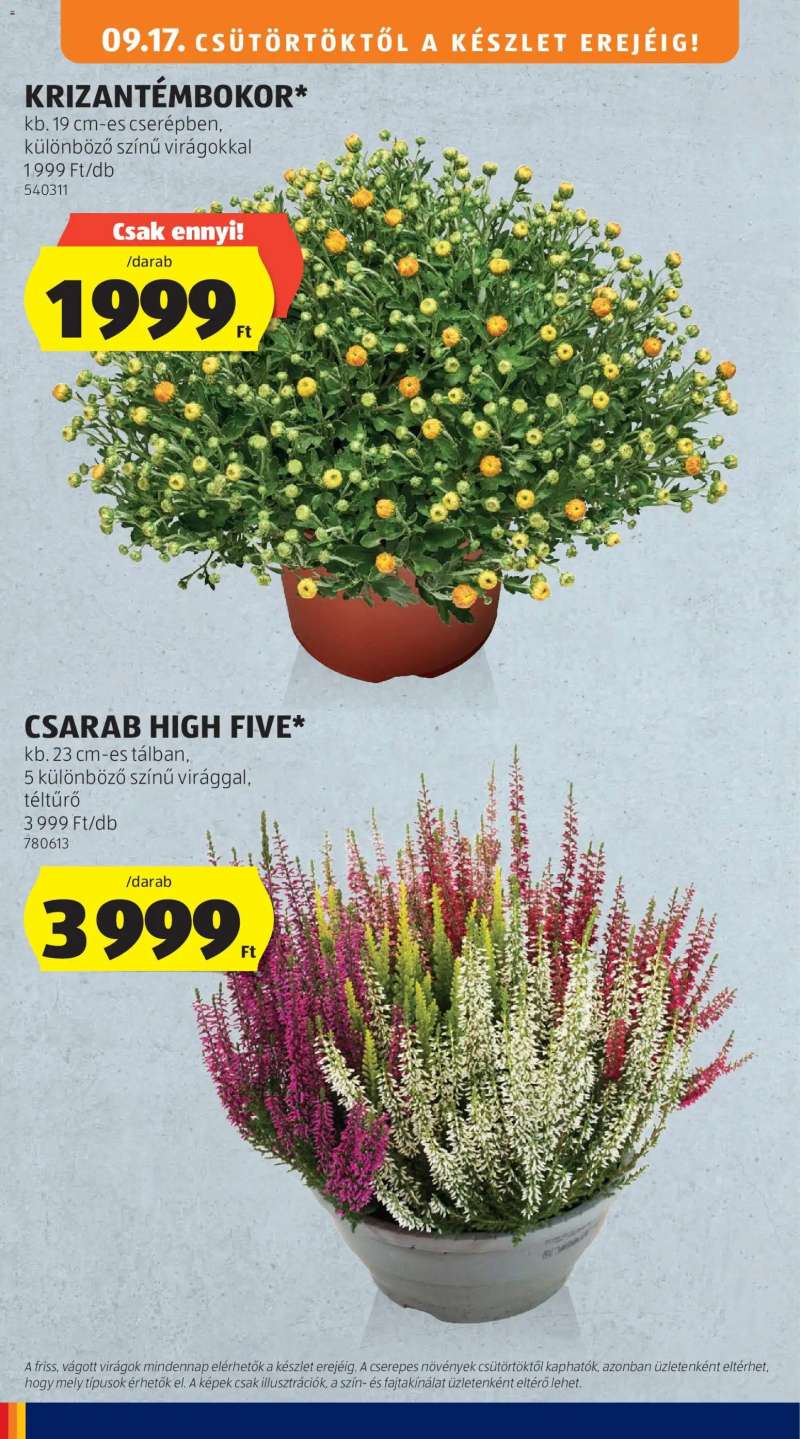 Aldi Aldi akciós újság 32 oldal