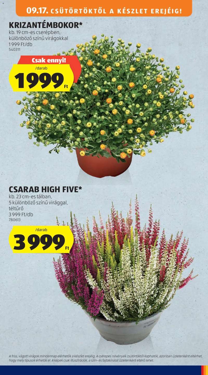 Aldi Aldi Középső sor termékei 5 oldal